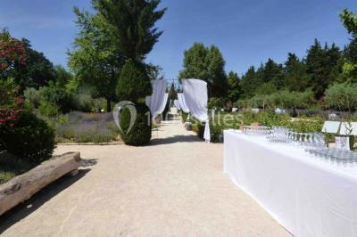 Location salle Graveson (Bouches-du-Rhône) - Musée Des Arômes Et Du Parfum #19