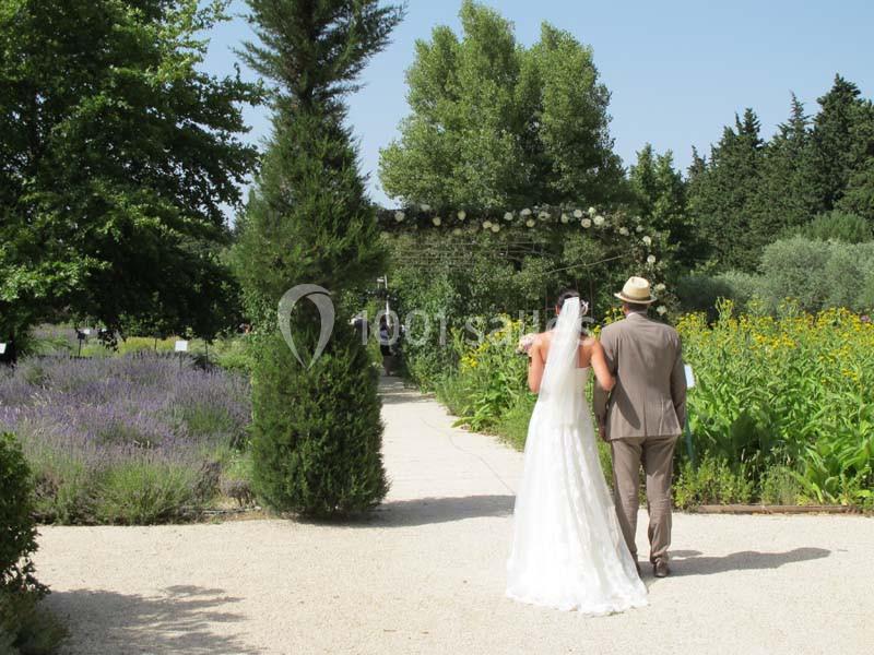 Location salle Graveson (Bouches-du-Rhône) - Musée Des Arômes Et Du Parfum #4