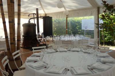 Location salle Graveson (Bouches-du-Rhône) - Musée Des Arômes Et Du Parfum #19