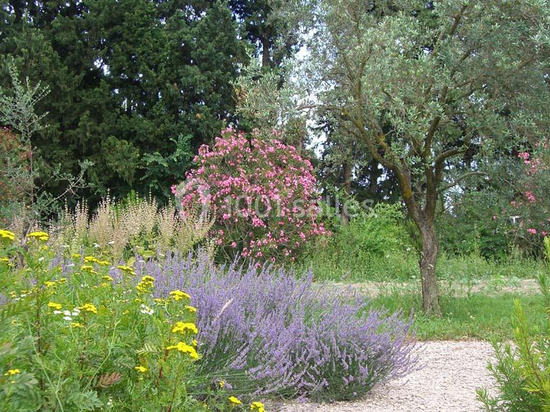 Location salle Graveson (Bouches-du-Rhône) - Musée Des Arômes Et Du Parfum #5