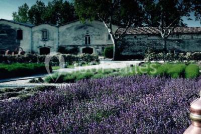 Location salle Graveson (Bouches-du-Rhône) - Musée Des Arômes Et Du Parfum #19