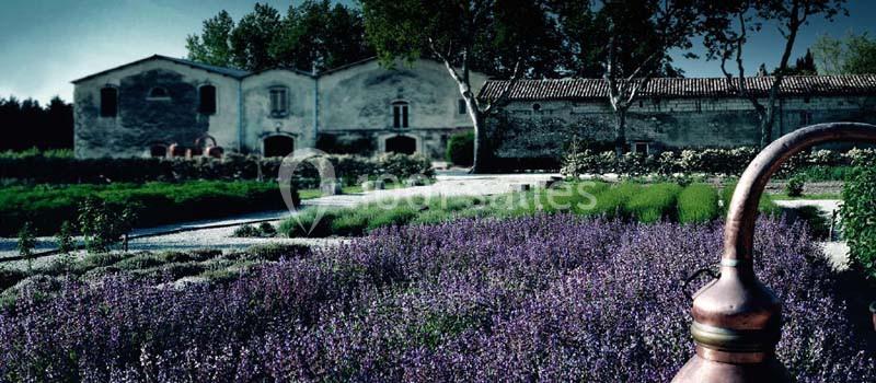 Location salle Graveson (Bouches-du-Rhône) - Musée Des Arômes Et Du Parfum #13