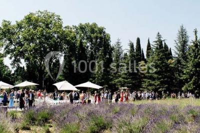 Location salle Graveson (Bouches-du-Rhône) - Musée Des Arômes Et Du Parfum #19
