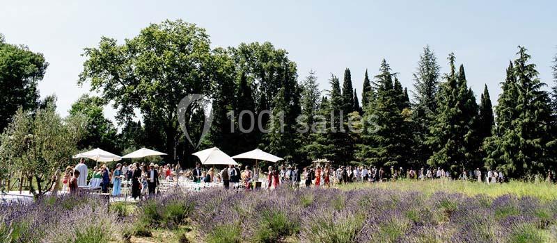 Location salle Graveson (Bouches-du-Rhône) - Musée Des Arômes Et Du Parfum #14
