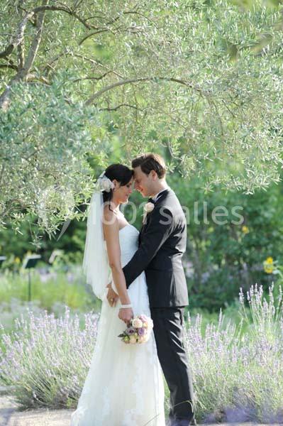 Location salle Graveson (Bouches-du-Rhône) - Musée Des Arômes Et Du Parfum #19