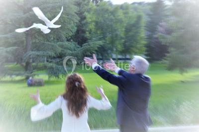 Salle lumineuse avec une grande table dressée pour un repas, décorée de fleurs et entourée de baies vitrées donnant sur un…