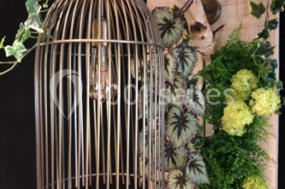 Assiette contenant des feuilles de radicchio garnies de foie gras et de morceaux de pomme disposés en étoile.