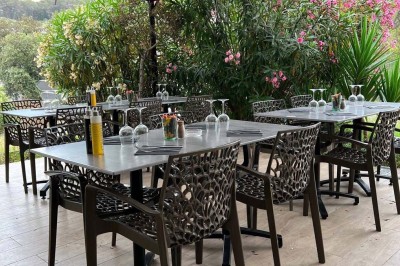 Assiette contenant des feuilles de radicchio garnies de foie gras et de morceaux de pomme disposés en étoile.