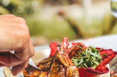 Assiette contenant des feuilles de radicchio garnies de foie gras et de morceaux de pomme disposés en étoile.