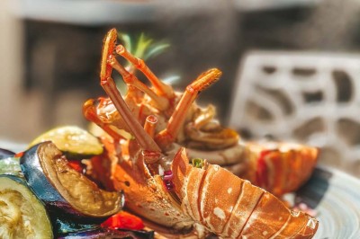 Assiette contenant des feuilles de radicchio garnies de foie gras et de morceaux de pomme disposés en étoile.