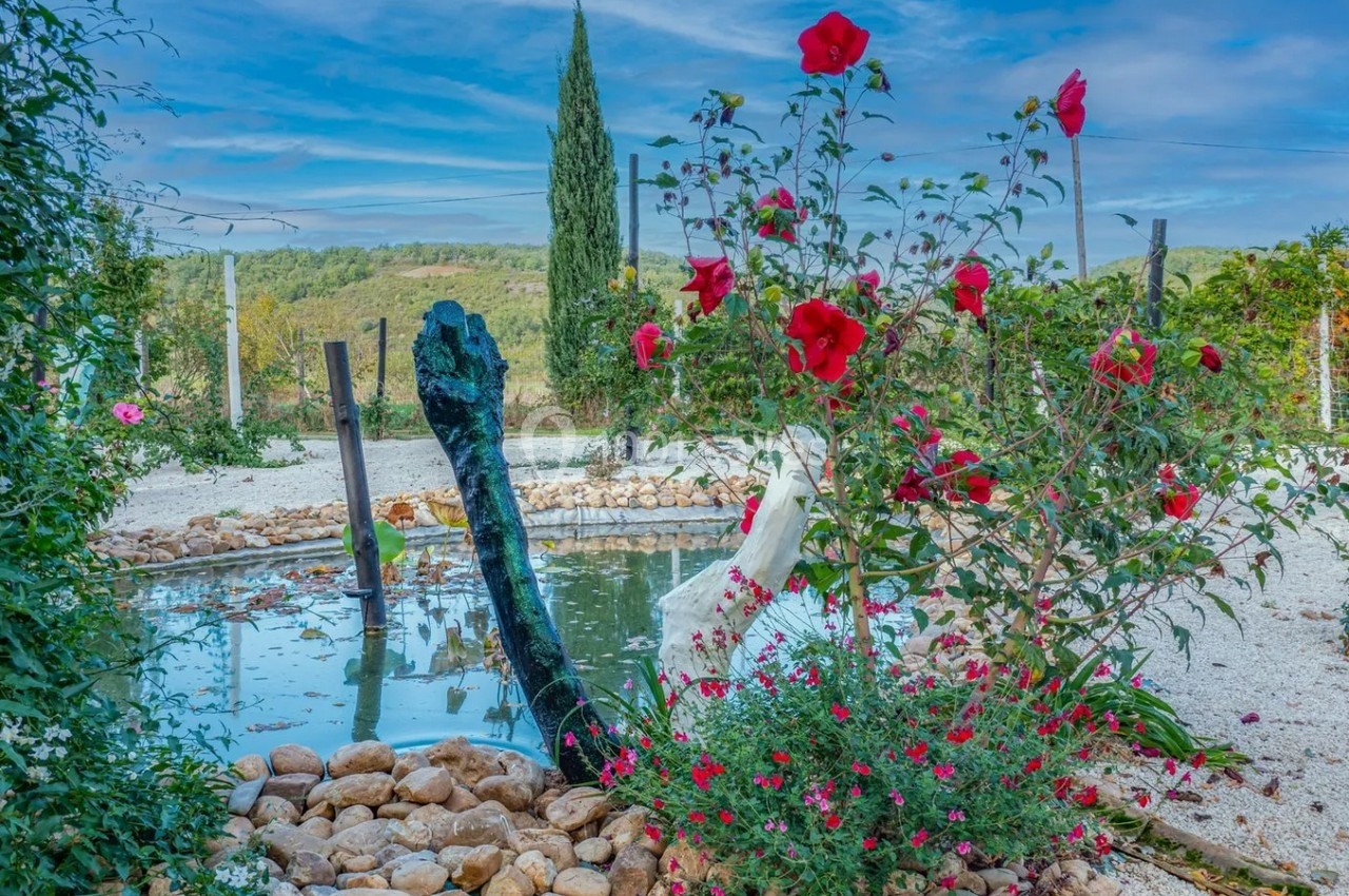 Location salle Buzet-sur-Tarn (Haute-Garonne) - Domaine la Baronne #3