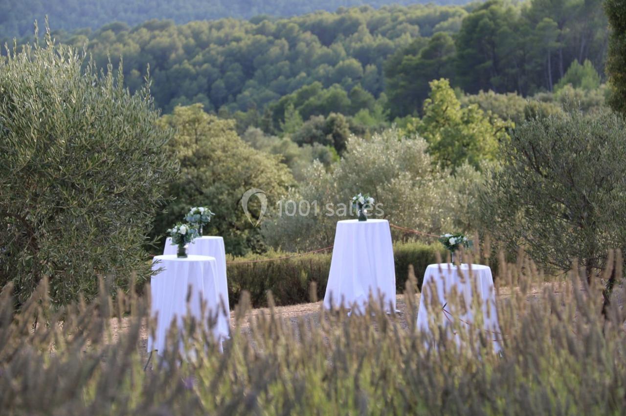 Location salle Callas (Var) - Domaine de Peron #8