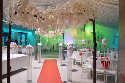 Parking vide avec marquages au sol, entouré de bâtiments industriels et d'arbres sous un ciel dégagé.