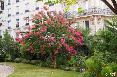 Location salle Paris 9 (Paris) - Fondation Dosne-Thiers - Institut de France #28