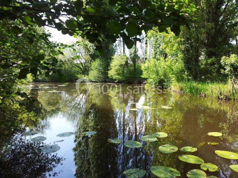 Location salle Sablé-sur-Sarthe (Sarthe) - Château De La Martinière #4