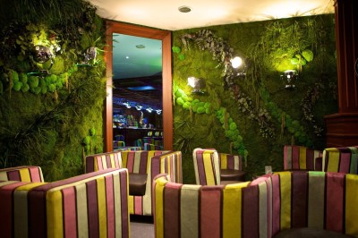 Salle avec des fauteuils rayés colorés, murs recouverts de végétation et éclairage tamisé.