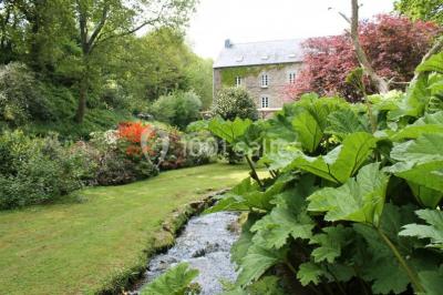 Jardin verdoyant avec un ruisseau traversant, entouré de grandes feuilles et d'arbustes fleuris, près d'une maison en pierre.