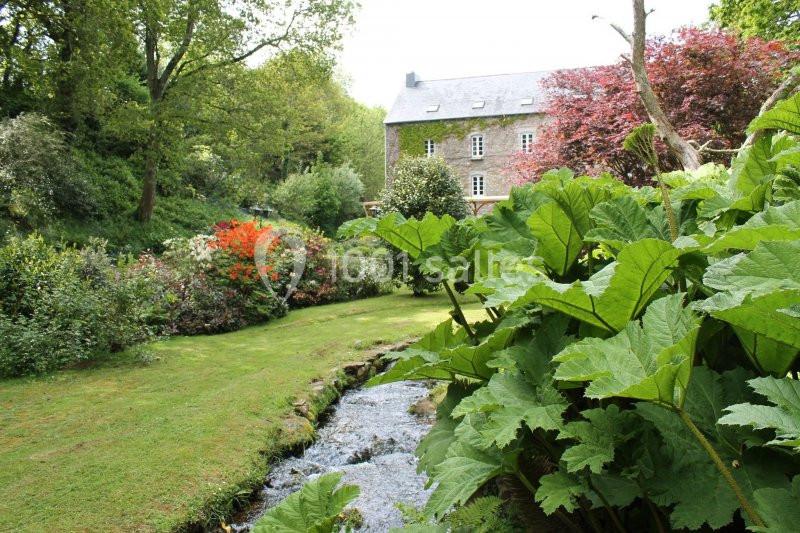 Jardin verdoyant avec un ruisseau traversant, entouré de grandes feuilles et d'arbustes fleuris, près d'une maison en pierre.