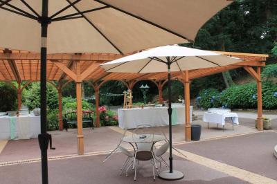 Jardin verdoyant avec un ruisseau traversant, entouré de grandes feuilles et d'arbustes fleuris, près d'une maison en pierre.