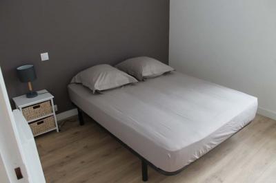 Jardin verdoyant avec un ruisseau traversant, entouré de grandes feuilles et d'arbustes fleuris, près d'une maison en pierre.