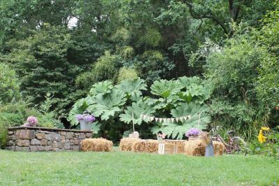 Jardin verdoyant avec un ruisseau traversant, entouré de grandes feuilles et d'arbustes fleuris, près d'une maison en pierre.