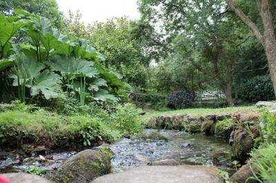 Jardin verdoyant avec un ruisseau traversant, entouré de grandes feuilles et d'arbustes fleuris, près d'une maison en pierre.