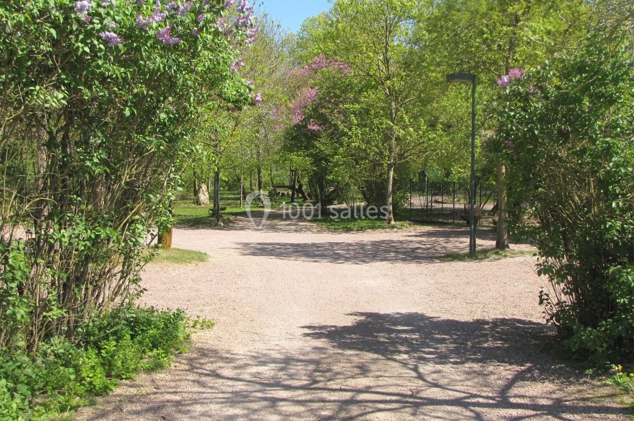 Allée ombragée bordée de buissons fleuris et d'arbres dans un parc par une journée ensoleillée.