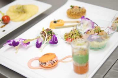 Location salle Carros (Alpes-Maritimes) - Crystal Events #24