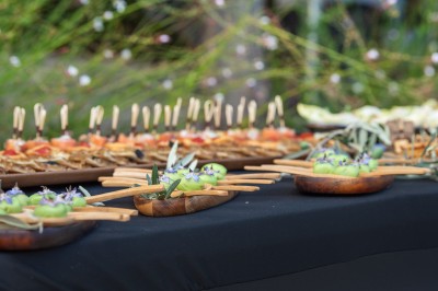 Plateau de petites assiettes garnies, posé sur une table en bois devant des vignes en arrière-plan.