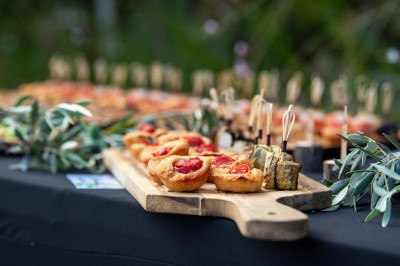Plateau de petites assiettes garnies, posé sur une table en bois devant des vignes en arrière-plan.