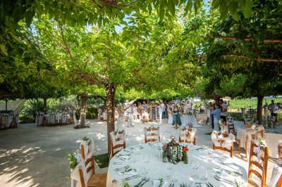 Plateau de petites assiettes garnies, posé sur une table en bois devant des vignes en arrière-plan.