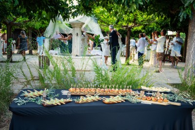 Plateau de petites assiettes garnies, posé sur une table en bois devant des vignes en arrière-plan.