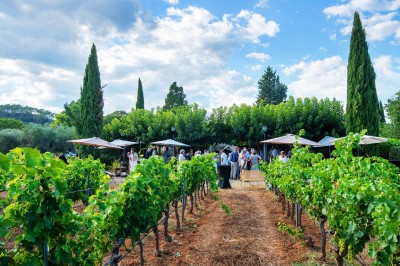 Plateau de petites assiettes garnies, posé sur une table en bois devant des vignes en arrière-plan.
