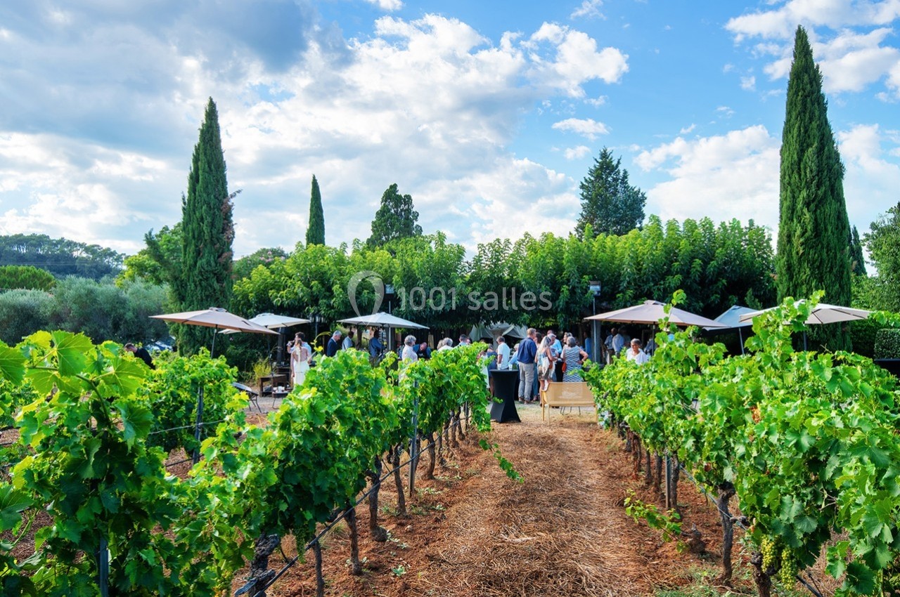 Des personnes réunies dans un vignoble en plein air, entourées de vignes, arbres et parasols sous un ciel bleu.