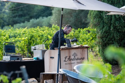 Plateau de petites assiettes garnies, posé sur une table en bois devant des vignes en arrière-plan.