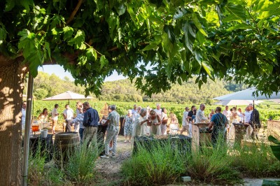 Plateau de petites assiettes garnies, posé sur une table en bois devant des vignes en arrière-plan.