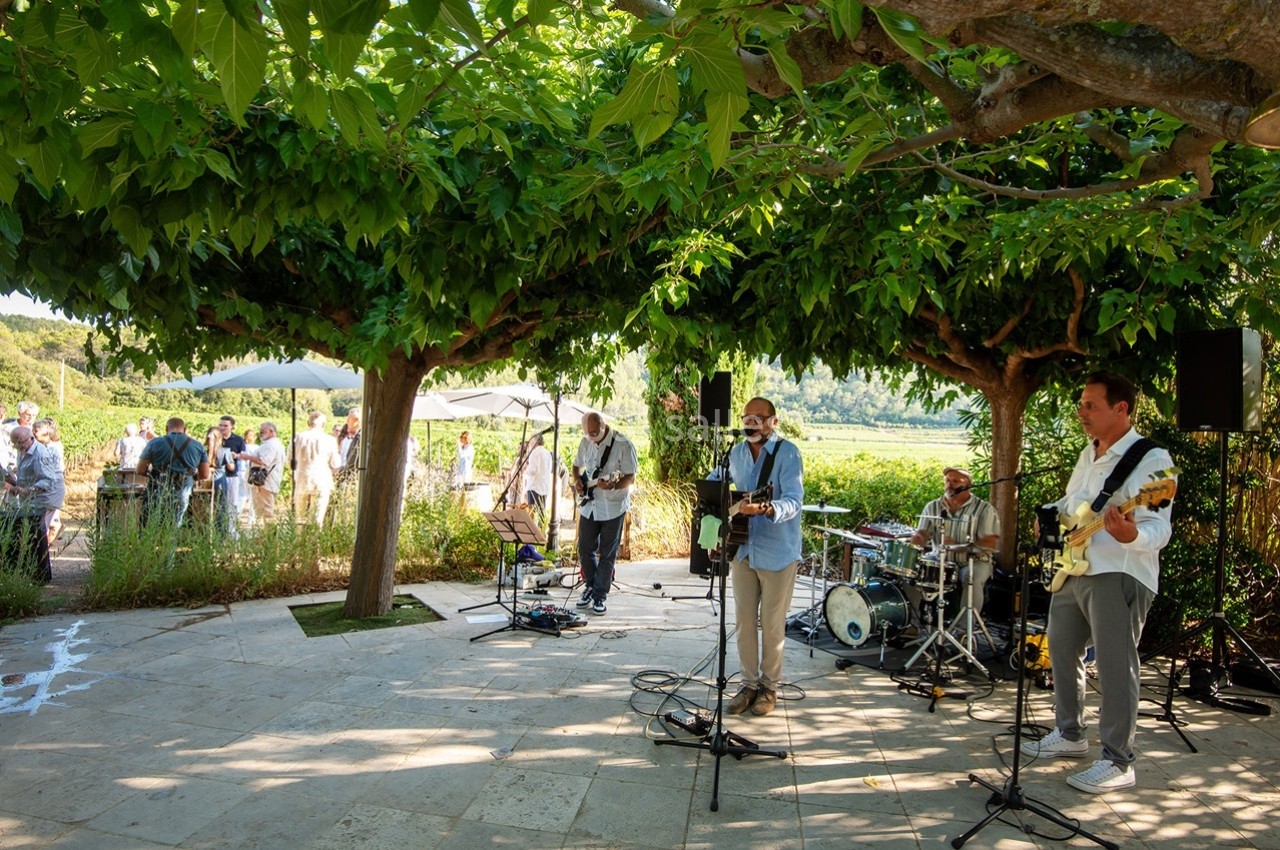 Groupe de musiciens jouant en plein air sous des arbres, avec un public en arrière-plan près d'un paysage verdoyant.