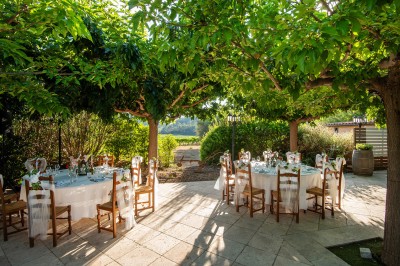 Plateau de petites assiettes garnies, posé sur une table en bois devant des vignes en arrière-plan.