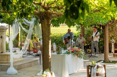 Plateau de petites assiettes garnies, posé sur une table en bois devant des vignes en arrière-plan.