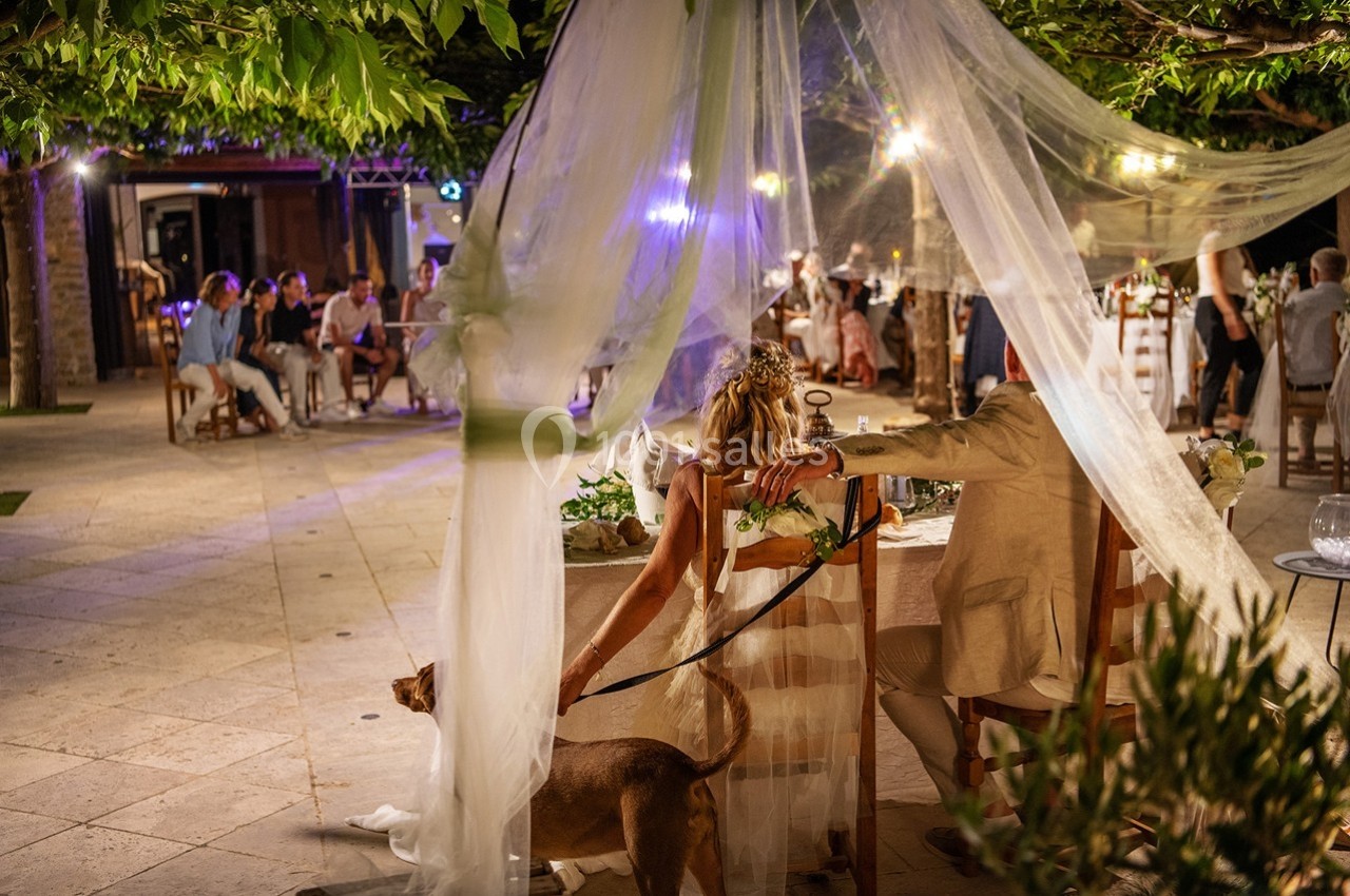 Un couple assis à une table de mariage en extérieur, accompagné d'un chien tenu en laisse sous un voile décoratif.