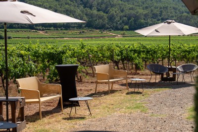 Plateau de petites assiettes garnies, posé sur une table en bois devant des vignes en arrière-plan.