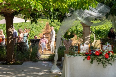 Plateau de petites assiettes garnies, posé sur une table en bois devant des vignes en arrière-plan.