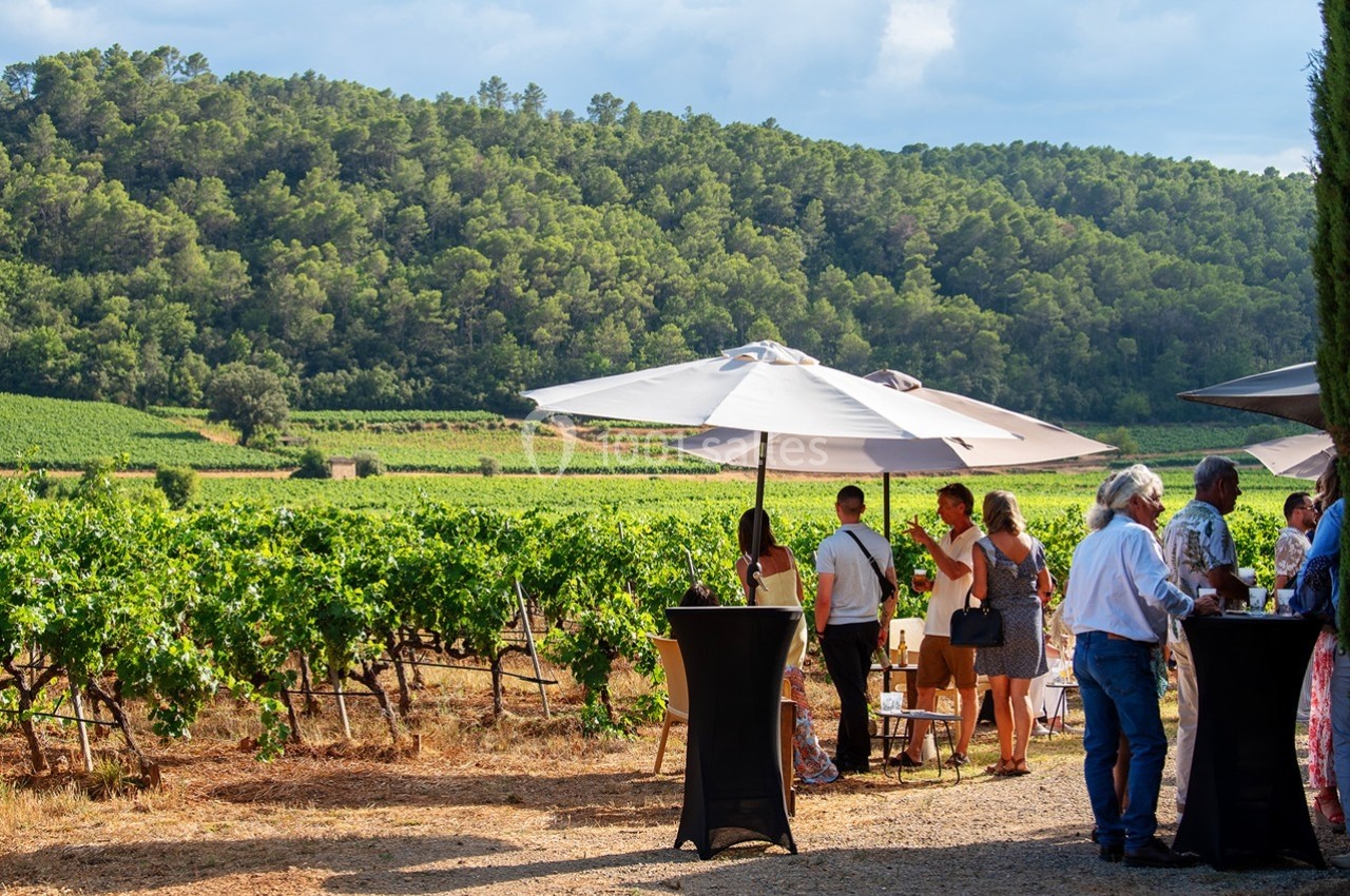 Des personnes rassemblées autour de tables hautes dans un vignoble verdoyant sous un ciel partiellement nuageux.