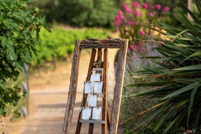 Plateau de petites assiettes garnies, posé sur une table en bois devant des vignes en arrière-plan.