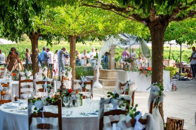 Plateau de petites assiettes garnies, posé sur une table en bois devant des vignes en arrière-plan.
