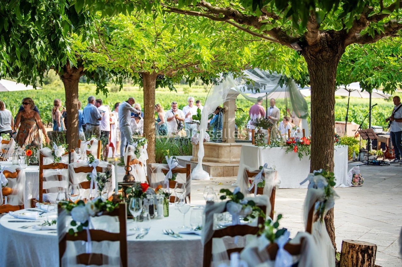 Tables décorées et invités rassemblés dans un jardin ombragé pour une réception en plein air.