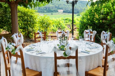 Plateau de petites assiettes garnies, posé sur une table en bois devant des vignes en arrière-plan.
