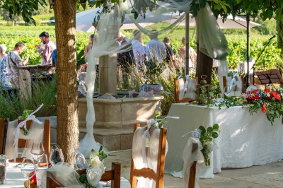 Plateau de petites assiettes garnies, posé sur une table en bois devant des vignes en arrière-plan.