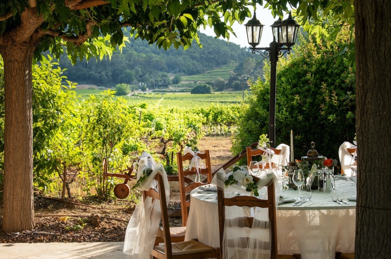 Table dressée en extérieur sous des arbres, avec vue sur des vignes et des collines verdoyantes en arrière-plan.