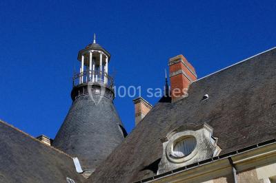 Location salle Thouaré-sur-Loire (Loire-Atlantique) - Château de Thouaré #16